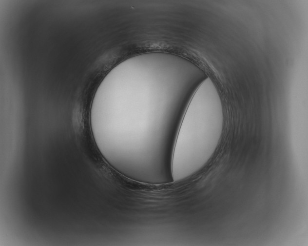 X0000102260643200807250838