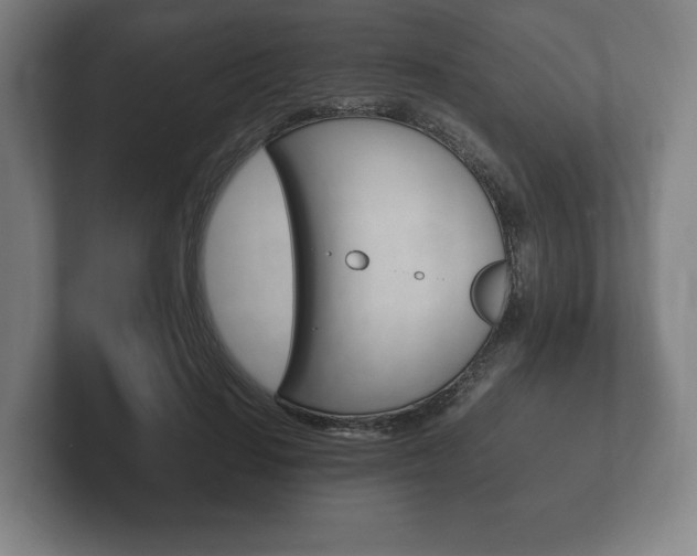 X0000102260644200807250839