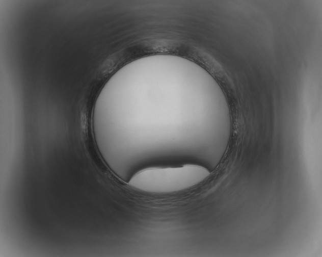 X0000102260646200807250839