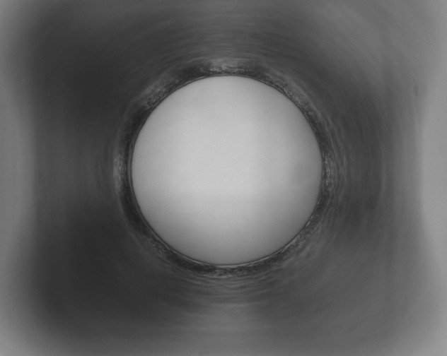 X0000102260648200807250839