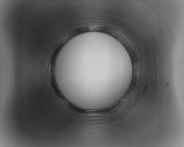 X0000102260650200807250839