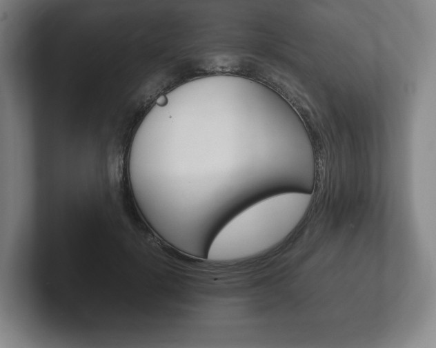 X0000102260652200807250839