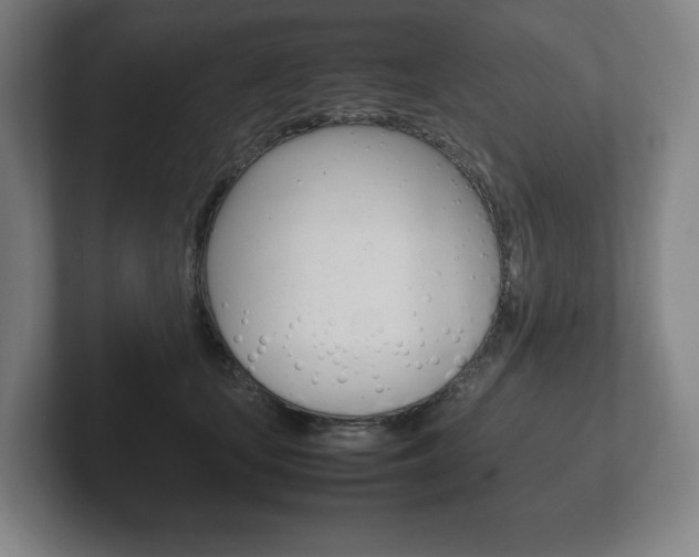 X0000102260659200807250839