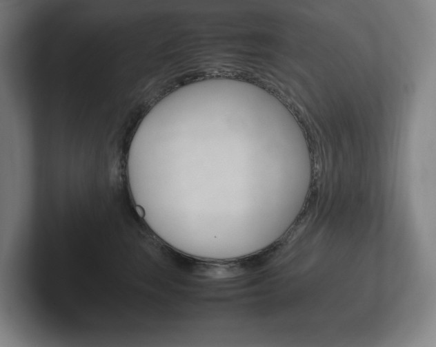 X0000102260663200807250839