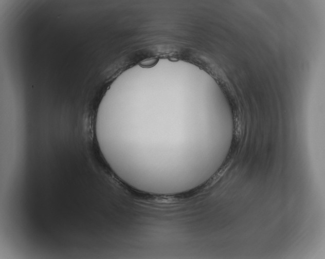 X0000102260666200807250839