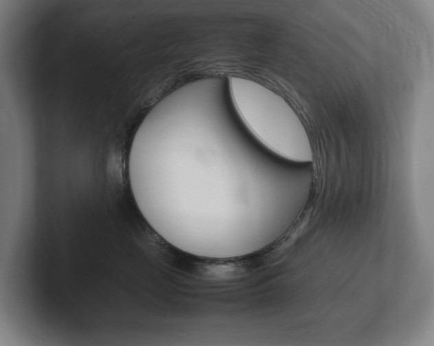 X0000102260669200807250839