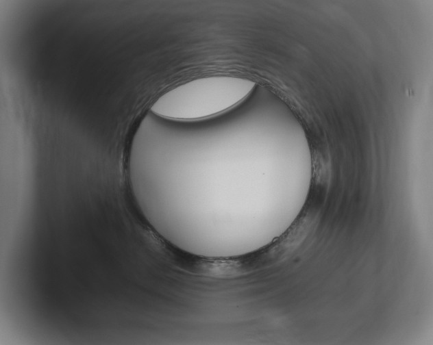 X0000102260670200807250839