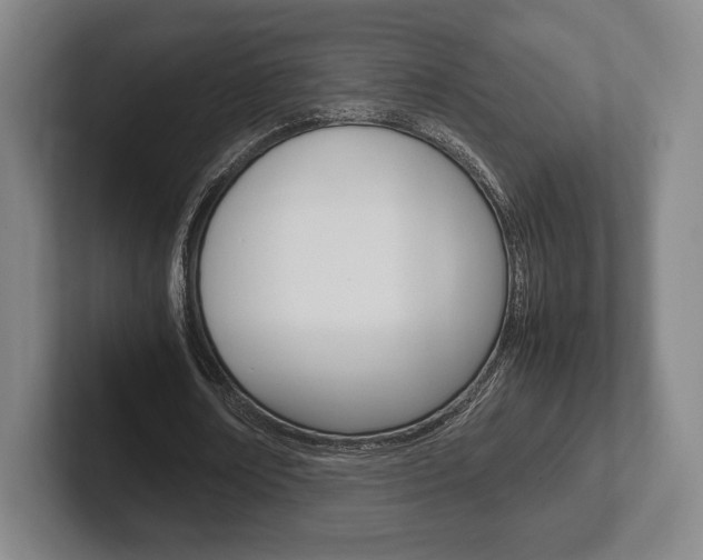 X0000102260674200807250838