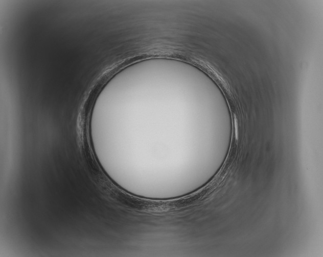 X0000102260675200807250838