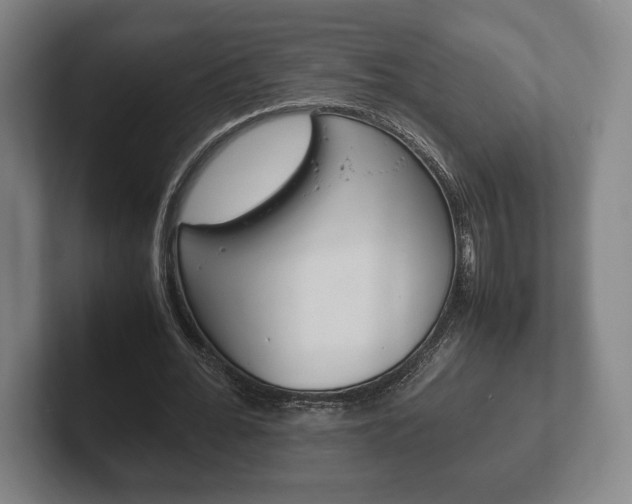 X0000102260676200807250838