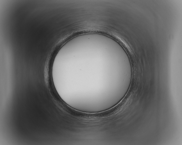 X0000102260677200807250838
