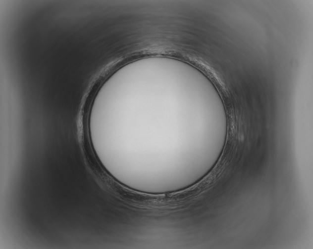 X0000102260678200807250838