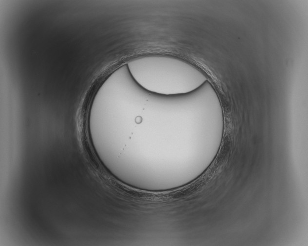 X0000102260679200807250838