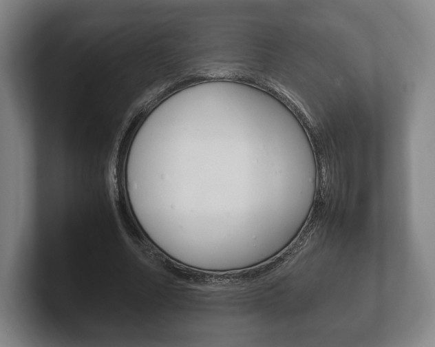 X0000102260682200807250838