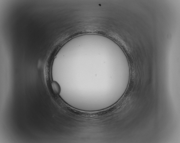 X0000102260683200807250838
