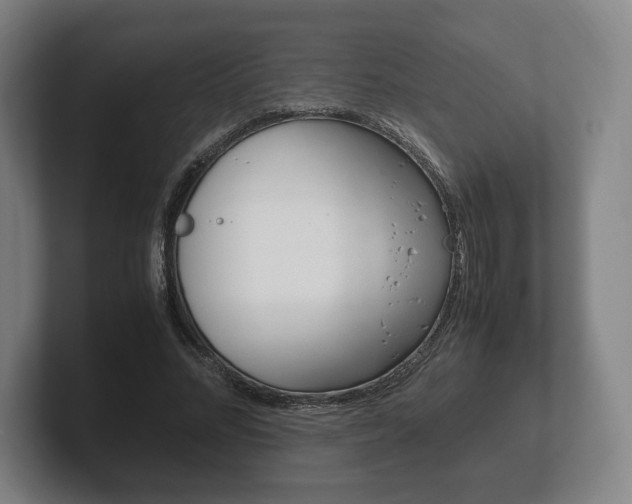 X0000102260684200807250838