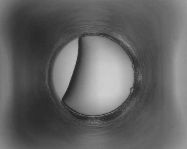 X0000102260685200807250838