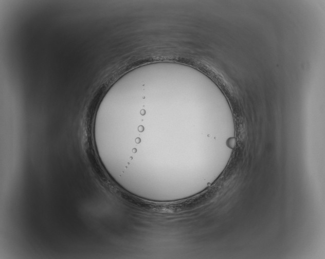 X0000102260687200807250838