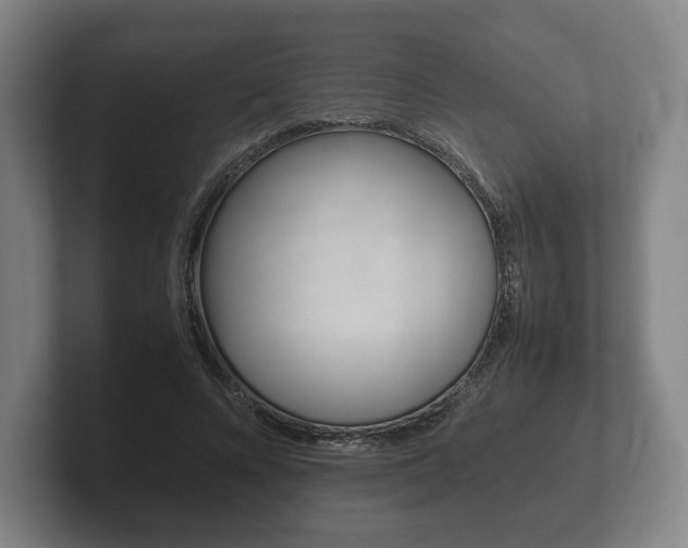 X0000102260688200807250838