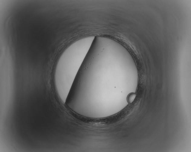 X0000102260689200807250838