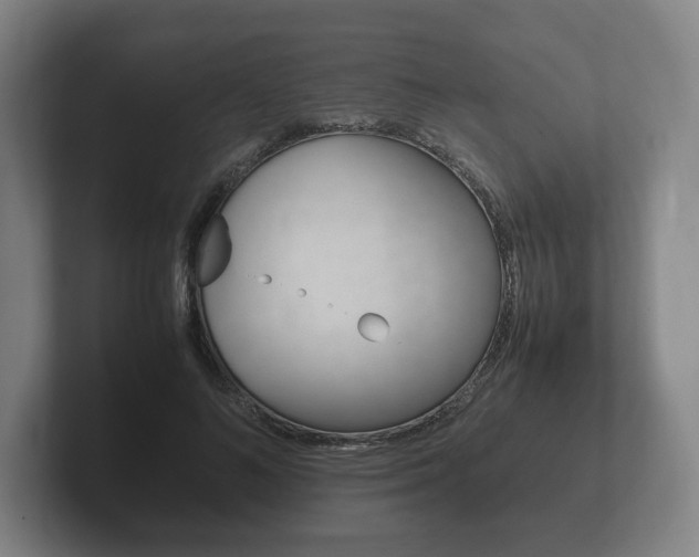 X0000102260692200807250838