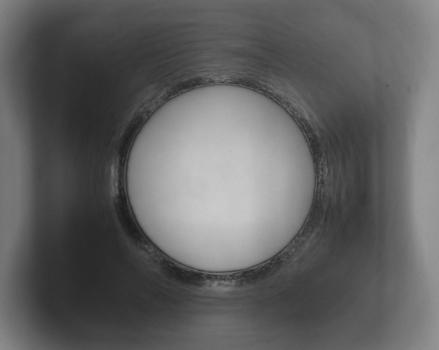 X0000102260694200807250838