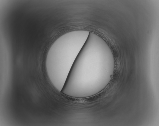 X0000102260695200807250838