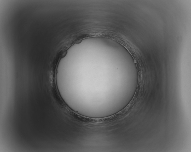X0000102260696200807250838