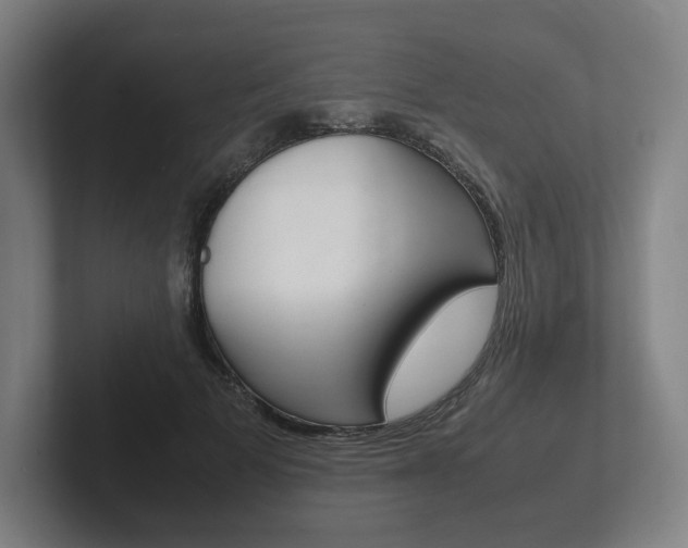 X0000102260697200807250838