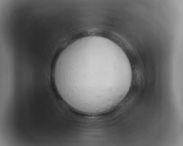 X0000102260698200807250838