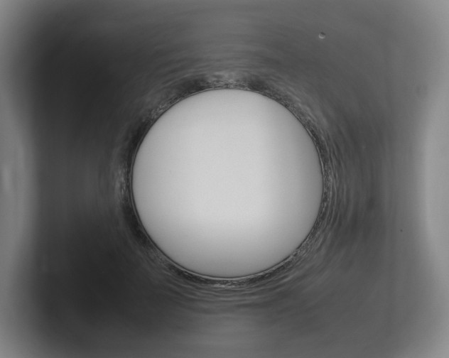 X0000102260699200807250838