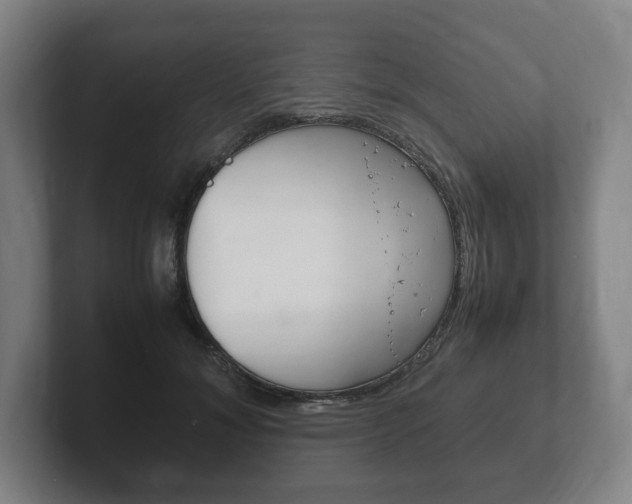 X0000102260700200807250838