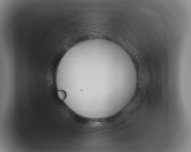 X0000102260706200807250838