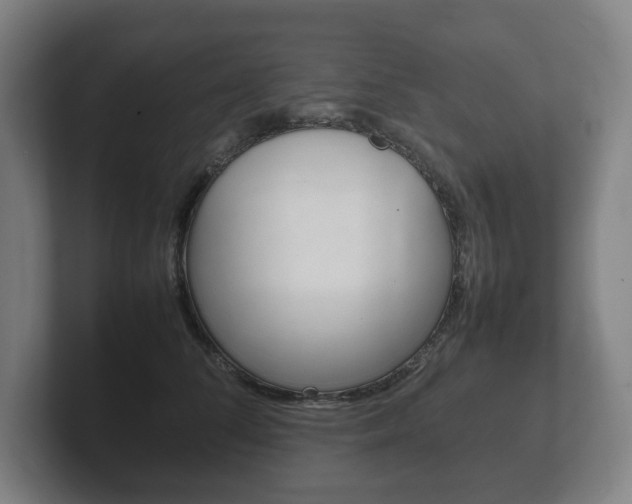X0000102260708200807250838