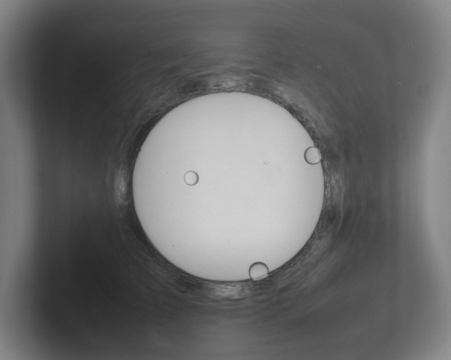 X0000102260709200807250838