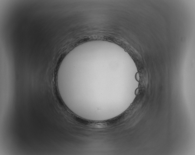 X0000102260711200807250838