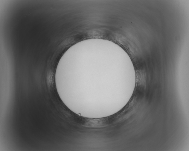 X0000102260713200807250838