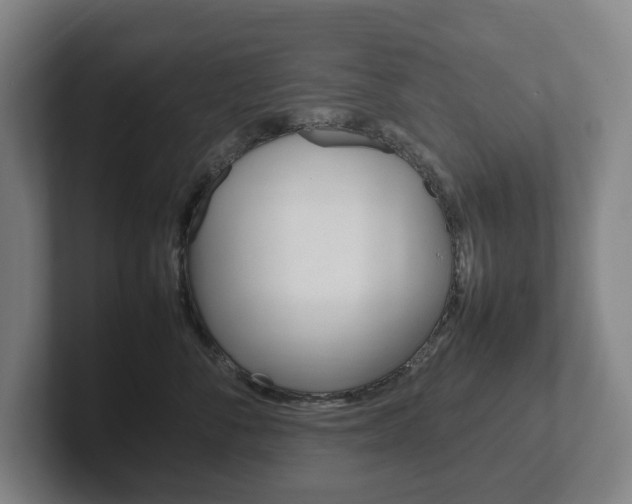X0000102260716200807250838