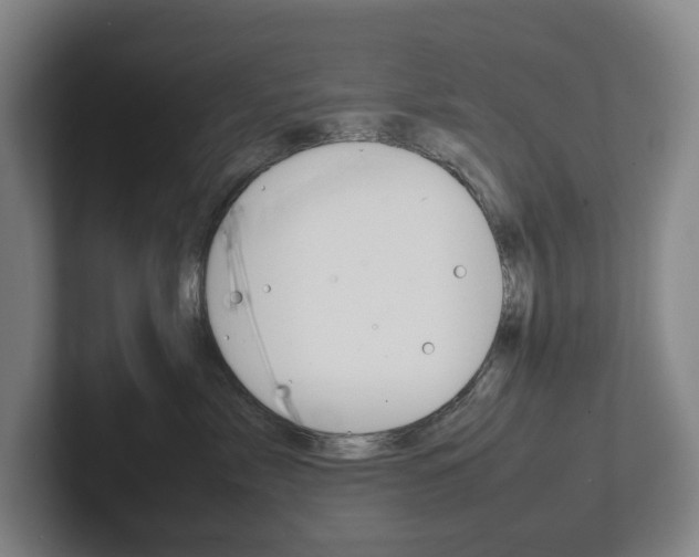 X0000102260717200807250838