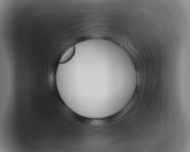 X0000102260718200807250838