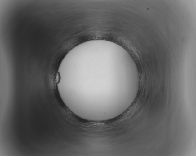 X0000102260719200807250838