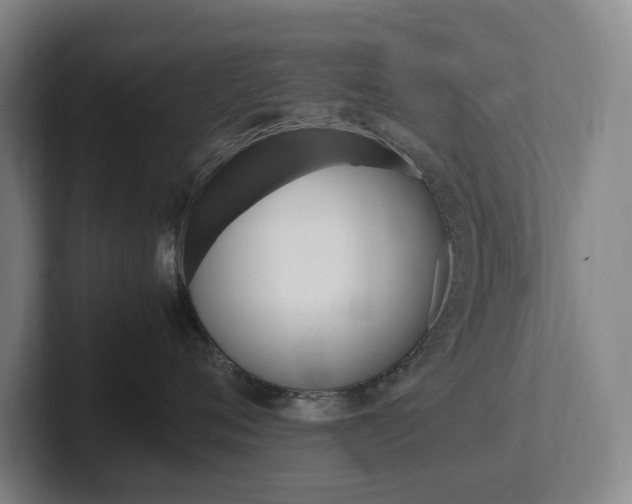 X0000102260720200807250838