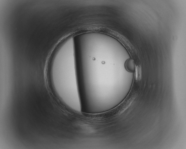 X0000102260723200807250837