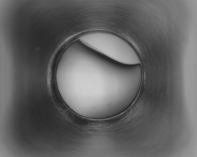 X0000102260724200807250837