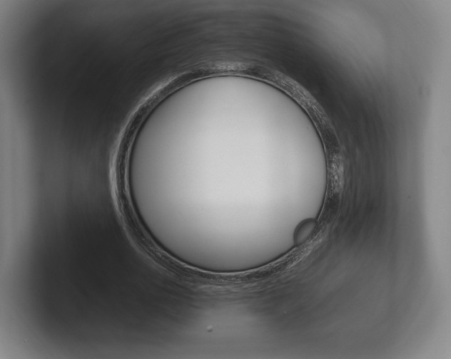 X0000102260726200807250837