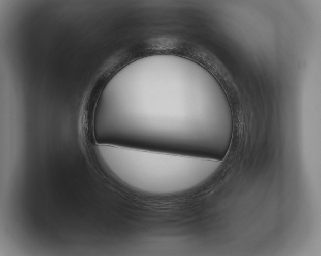 X0000102260731200807250837