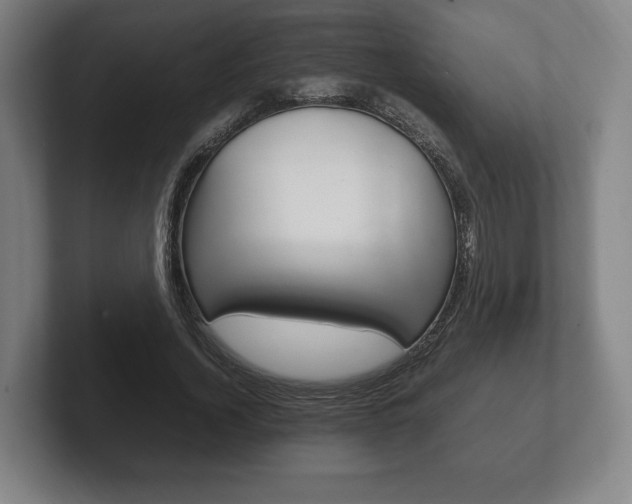 X0000102260732200807250837