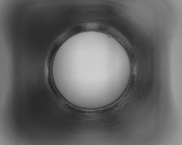 X0000102260733200807250837