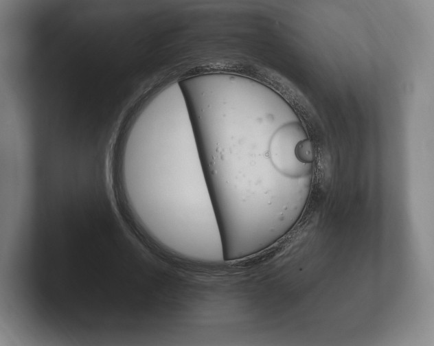 X0000102260734200807250837