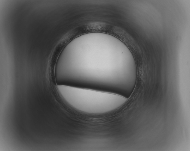 X0000102260735200807250837